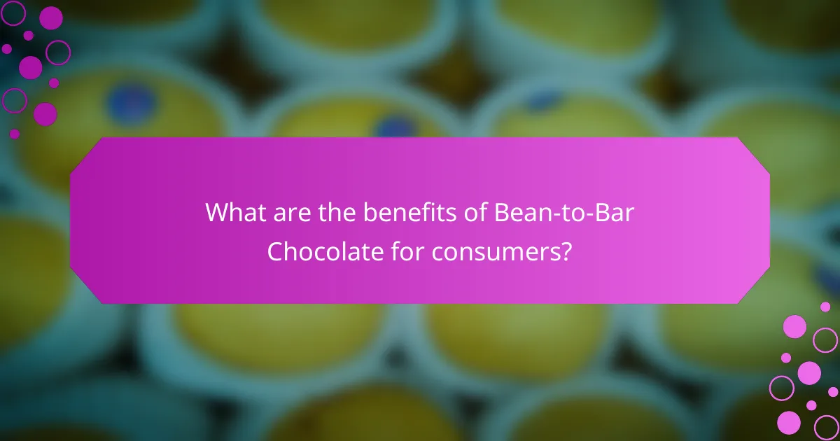What are the benefits of Bean-to-Bar Chocolate for consumers?